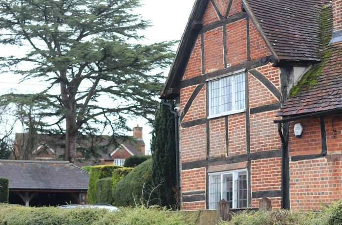 Classic Montlake Tudor Revival home surrounded by lush greenery near the Arboretum